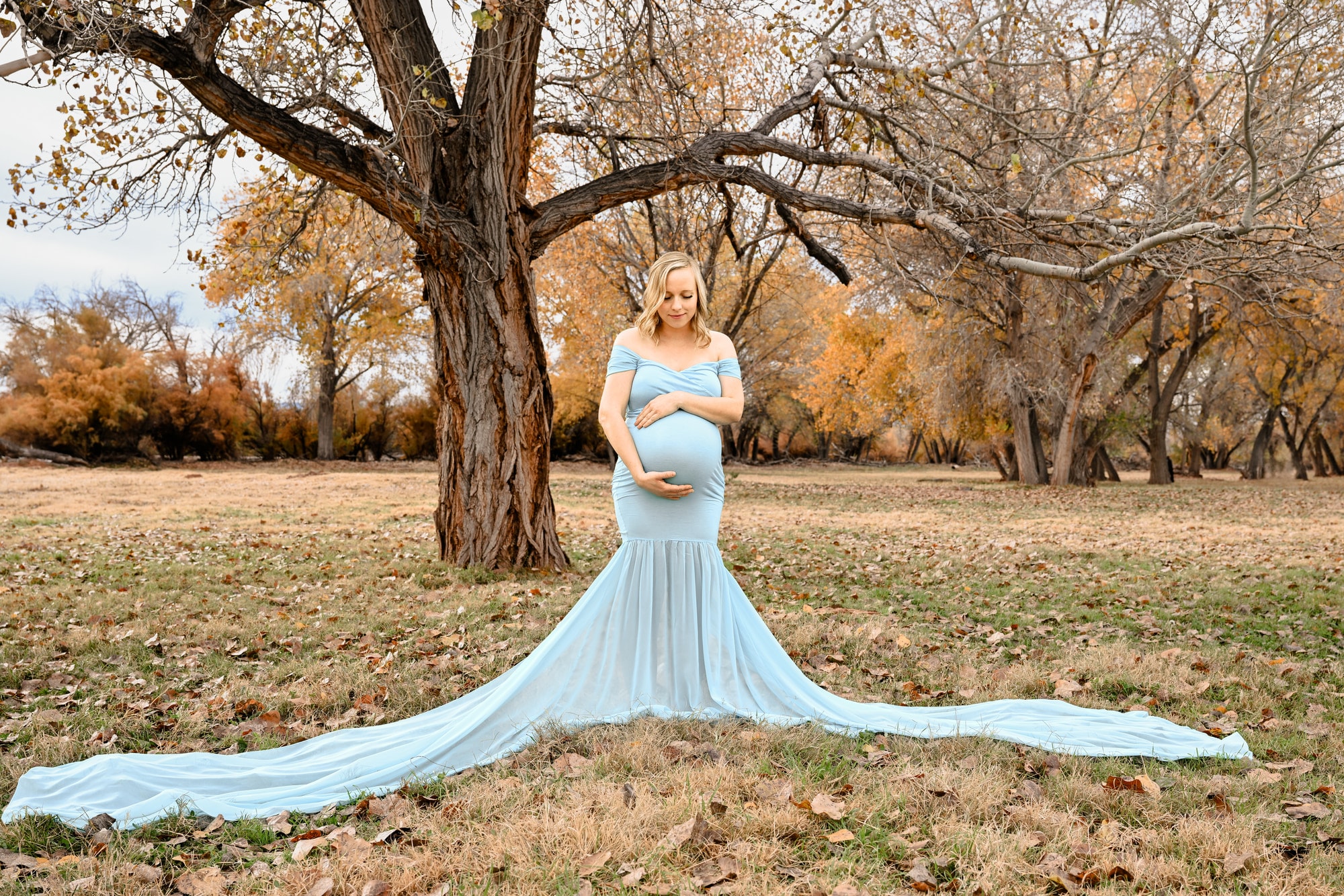A glimpse into the Shelby Vilate studio